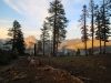 Sentinel Dome - Glacier Point 038