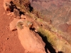 South Kaibab Trail 0139