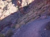 South Kaibab Trail 0150