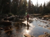 Sunrise to Merced Lake 099