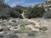 The Pinnacles 006.JPG