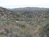 The Pinnacles 014.JPG