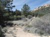 The Pinnacles 017.JPG