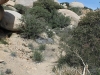 The Pinnacles 018.JPG