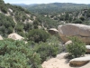 The Pinnacles 019.JPG