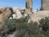 The Pinnacles 036.JPG