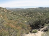 The Pinnacles 062.JPG