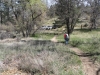 The Pinnacles 066.JPG