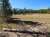 Tuolumne Meadows to Glen Aulin 2x 0034