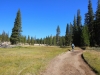 Tuolumne Meadows to Glen Aulin 2x 0041