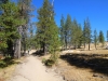 Tuolumne Meadows to Glen Aulin 2x 0043