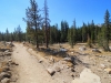 Tuolumne Meadows to Glen Aulin 2x 0044