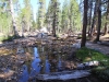 Tuolumne Meadows to Glen Aulin 2x 0046