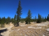 Tuolumne Meadows to Glen Aulin 2x 0049