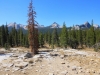 Tuolumne Meadows to Glen Aulin 2x 0050