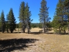 Tuolumne Meadows to Glen Aulin 2x 0054