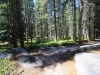 Tuolumne Meadows to Glen Aulin 2x 0079