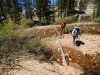 Tuolumne Meadows to Glen Aulin 2x 0096