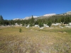 Vogelsang to Tuolumne Meadows 045