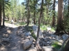 Vogelsang to Tuolumne Meadows 053