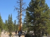 Vogelsang to Tuolumne Meadows 056