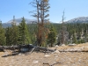 Vogelsang to Tuolumne Meadows 060