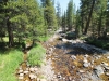 Vogelsang to Tuolumne Meadows 077