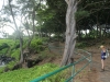 waianapanapa-state-park-002