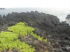 waianapanapa-state-park-009