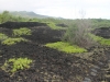 waianapanapa-state-park-040