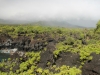 waianapanapa-state-park-067