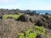 waianapanapa-state-park-070