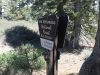 Wright Mtn via PCT 010