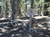 Wright Mtn via PCT 015