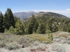 Wright Mtn via PCT 021