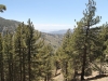 Wright Mtn via PCT 031