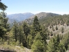 Wright Mtn via PCT 034