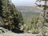 Wright Mtn via PCT 038