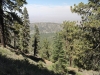 Wright Mtn via PCT 042