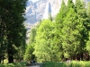 Yosemite Falls II 001