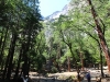 Yosemite Falls II 002