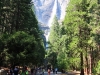 Yosemite Falls II 013