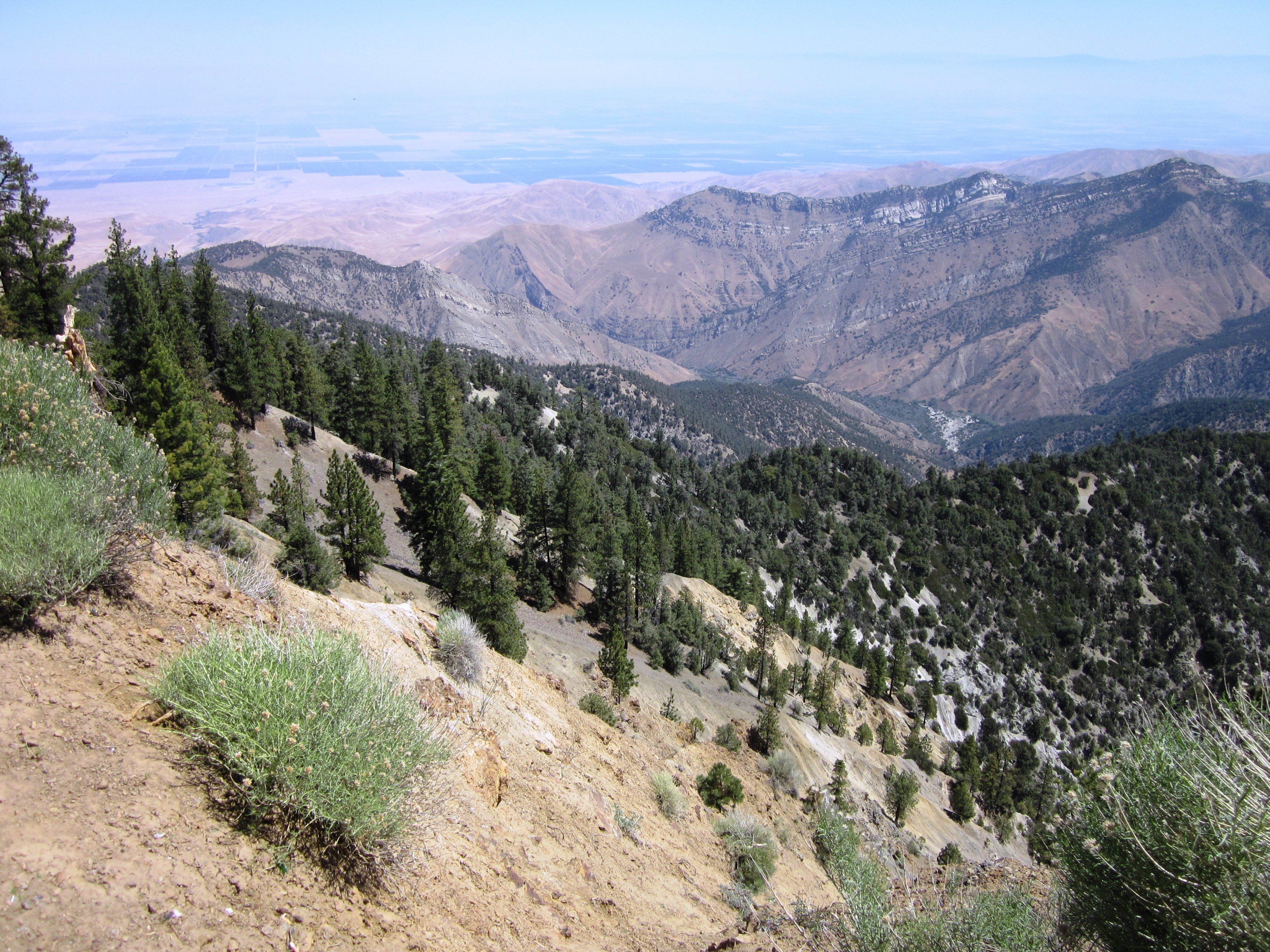 June 8, 2013 – San Emigdio Mountain/Brush Mountain | Fun With Chris and ...